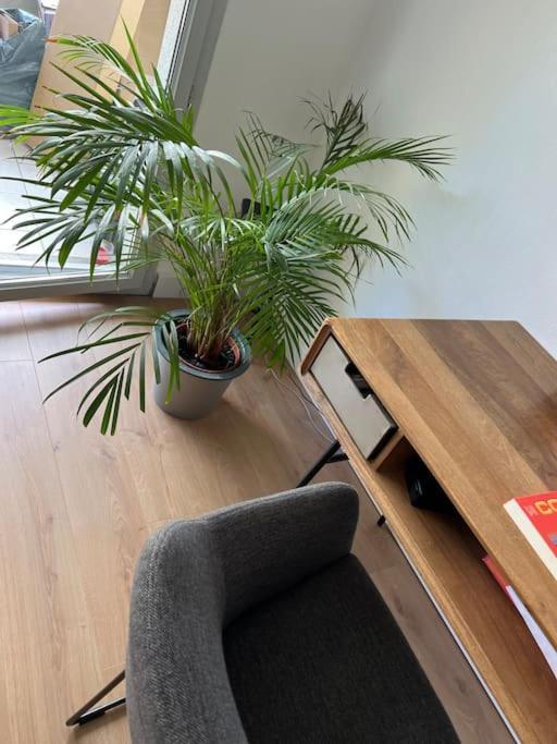 Le Petit Bruxelles Au Calme Appartement Toulouse Buitenkant foto